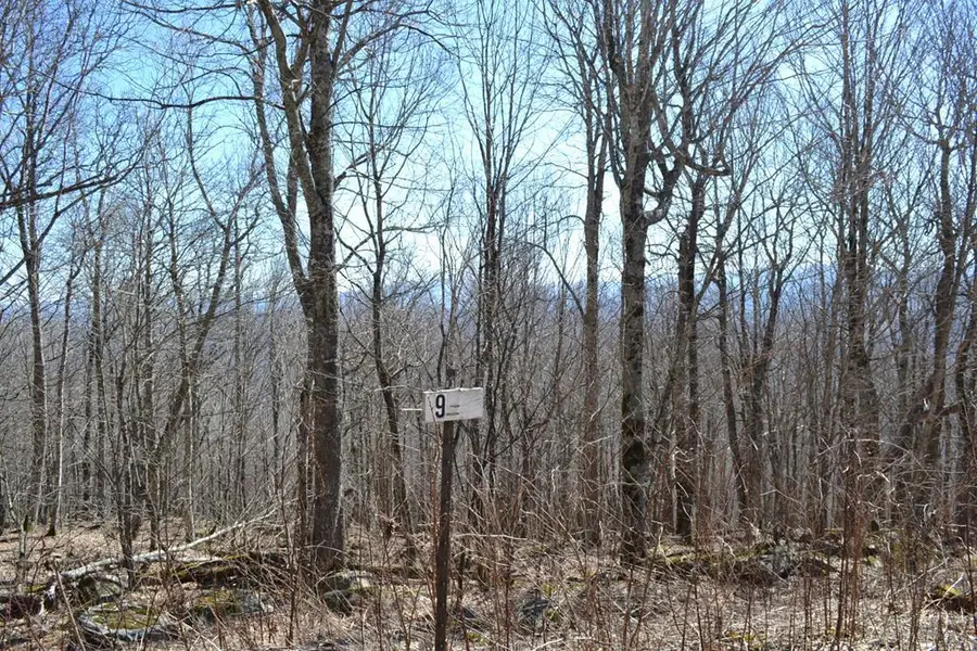 Lot 9 Holiday Lane, Whitetop, VA 24292 - Image #3