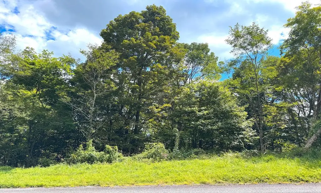 Lot 10 Holiday Lane, Whitetop, VA 24292 - Image #1