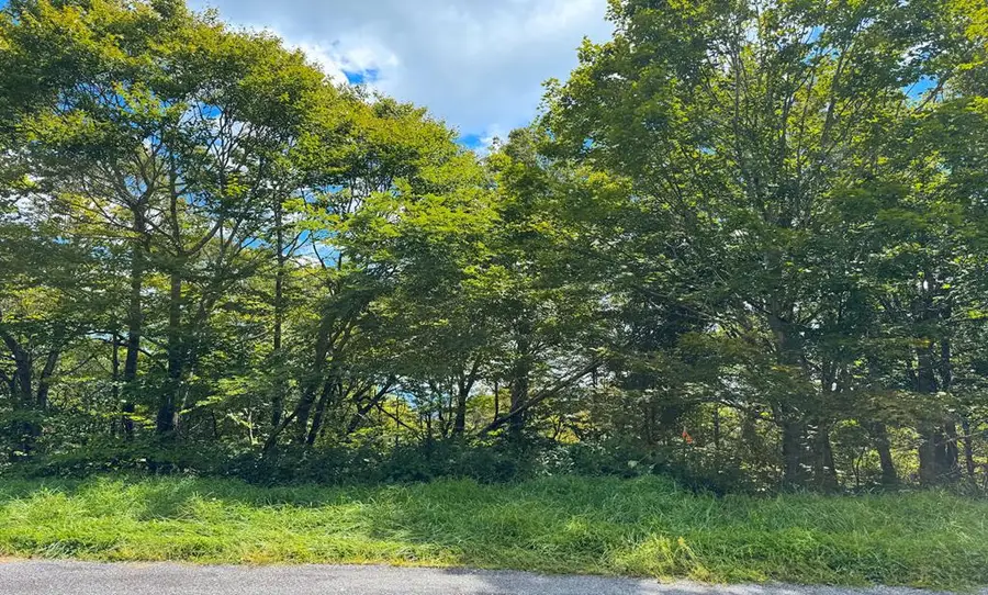 Lot 10 Holiday Lane, Whitetop, VA 24292 - Image #2