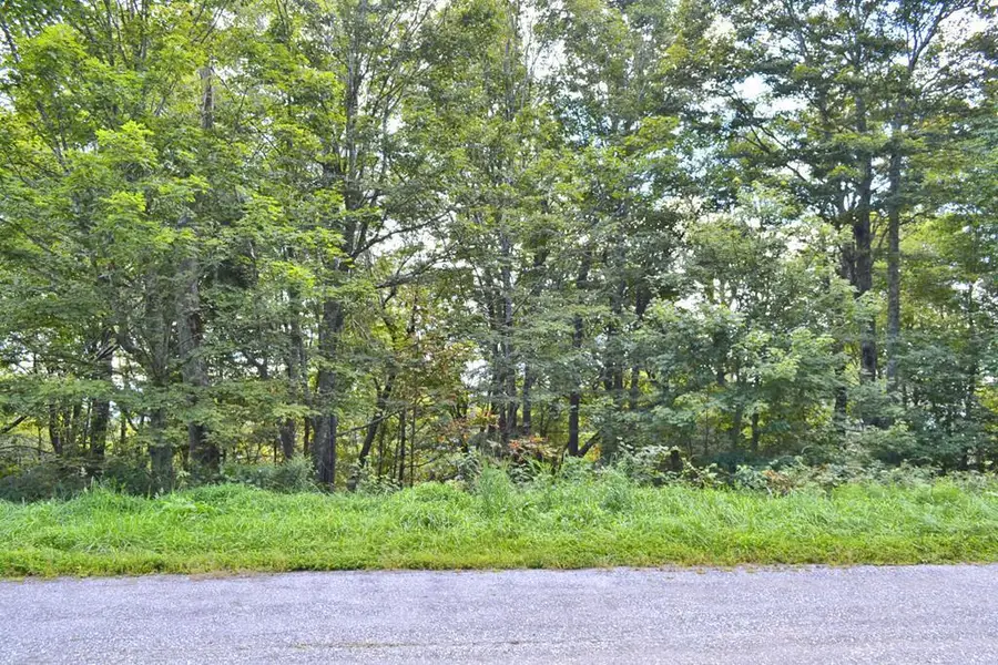 Lot 10 Holiday Lane, Whitetop, VA 24292 - Image #3