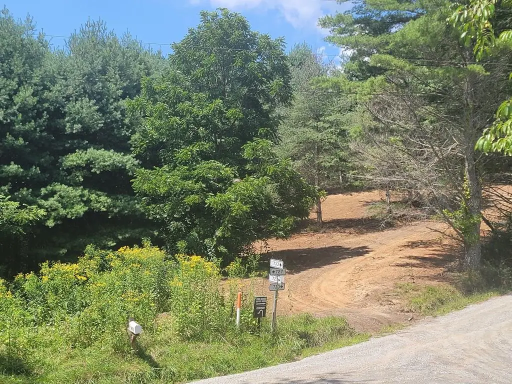 TBD Pine Branch Rd, Mouth Of Wilson, VA 24363 - Image #1