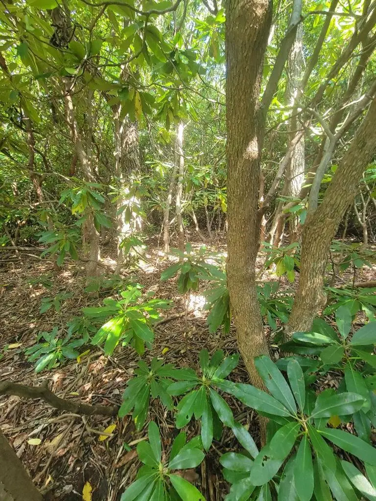 tbd Edgeview Dr., Meadows Of Dan, VA 24120 - Image #1