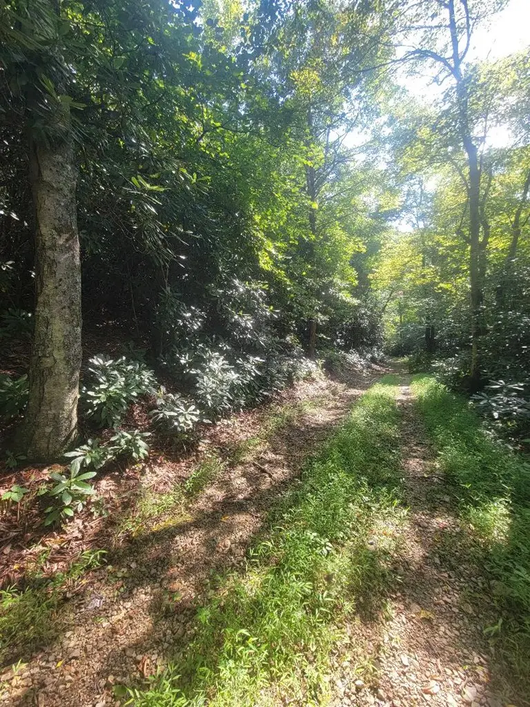 tbd Edgeview Dr., Meadows Of Dan, VA 24120 - Image #3