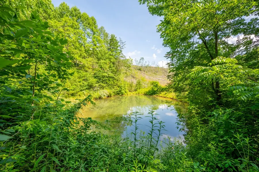 000 Fairhaven Drive, Dugspur, VA 24325 - Image #3