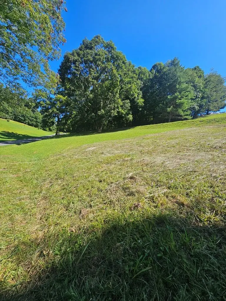 0 GOOSE CREEK ROAD, North Tazewell, VA 24630 - Image #3