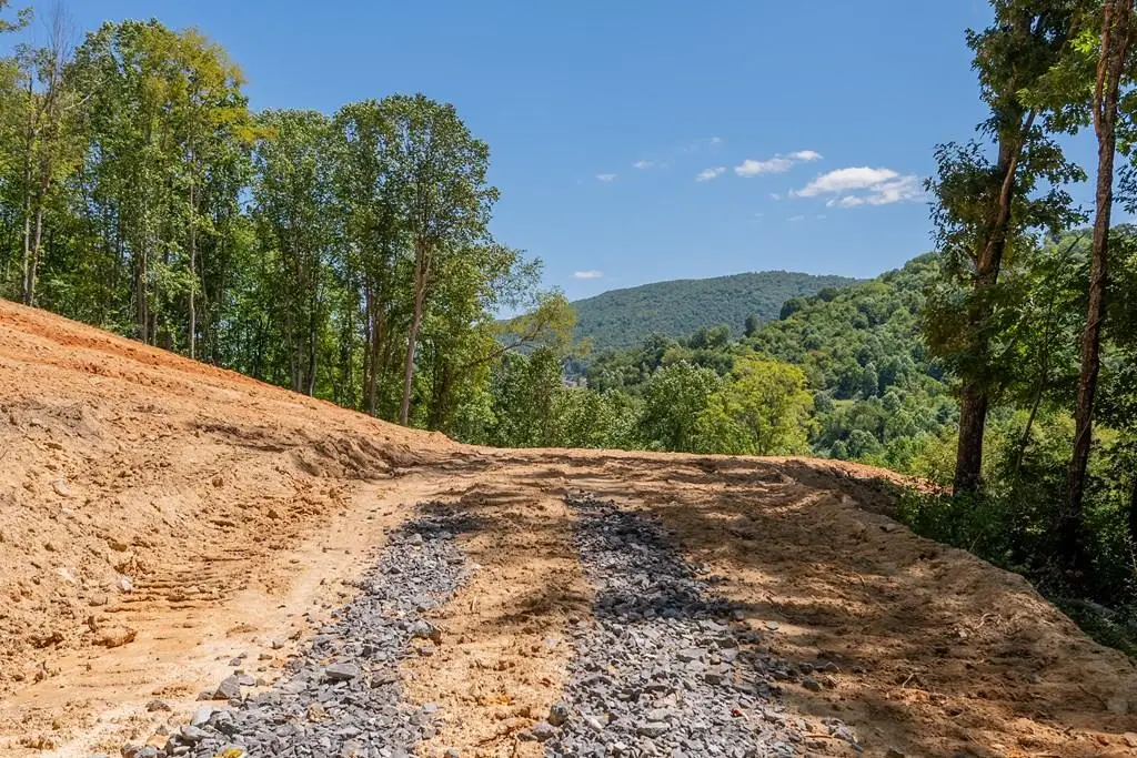 Lot 20 Clear Fork Creek Road, Bastian, VA 24314 - Image #1