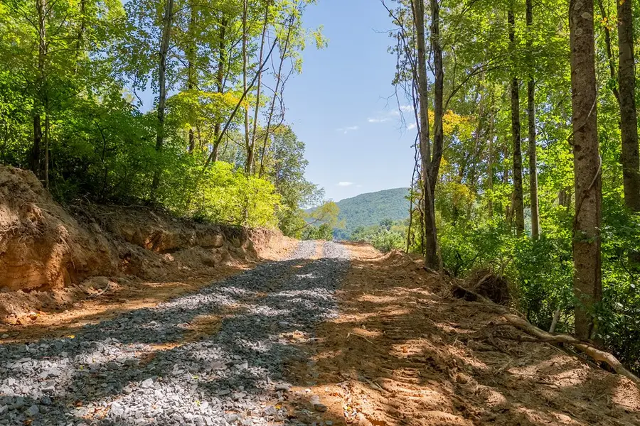 Lot 20 Clear Fork Creek Road, Bastian, VA 24314 - Image #3