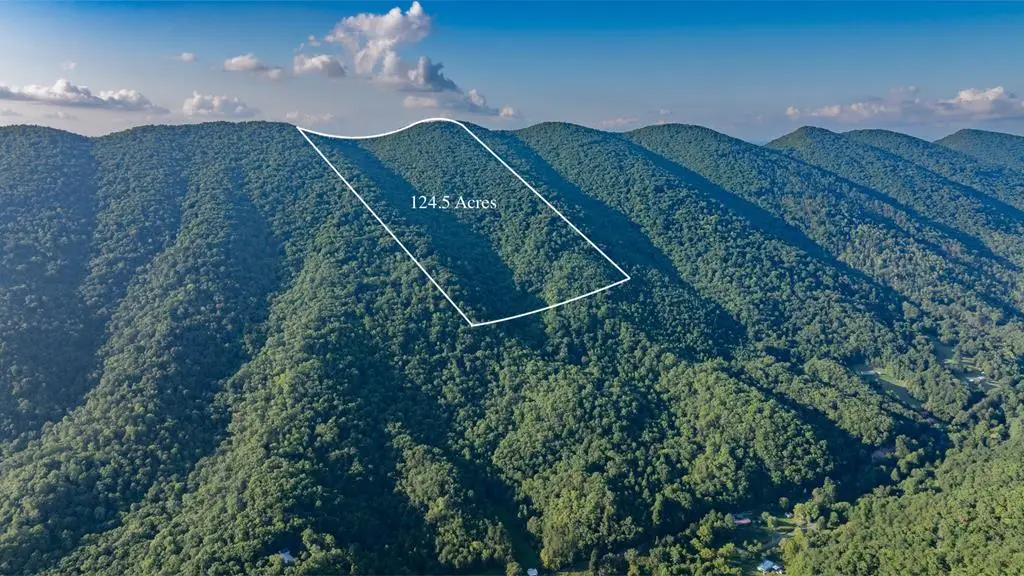 TBD Mendota Road, Mendota, VA 023325 - Image #1