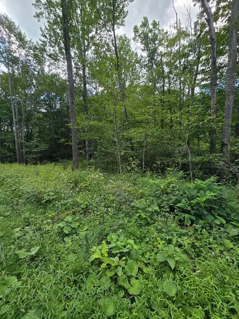 TBD Lost Lake Rd, Troutdale, VA 24378 - Image #2