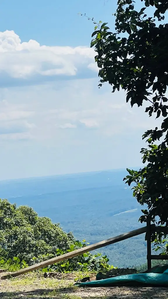 Lot 68 Black Gum Trl, Fancy Gap, VA 24328 - Image #3