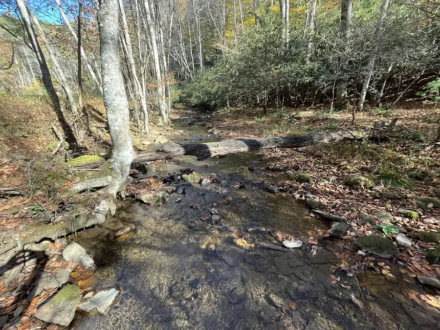 TBD Deepwater Road, Dugspur, VA 24325 - Image #3