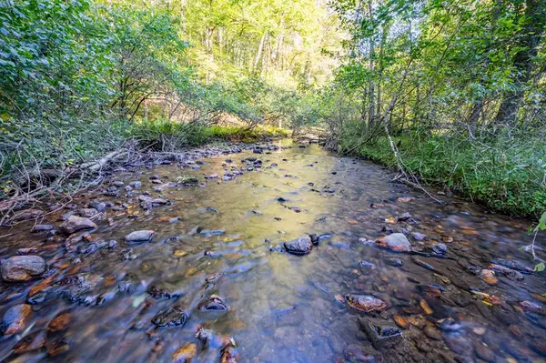 000 Cox Store Road SW, Floyd, VA 24091