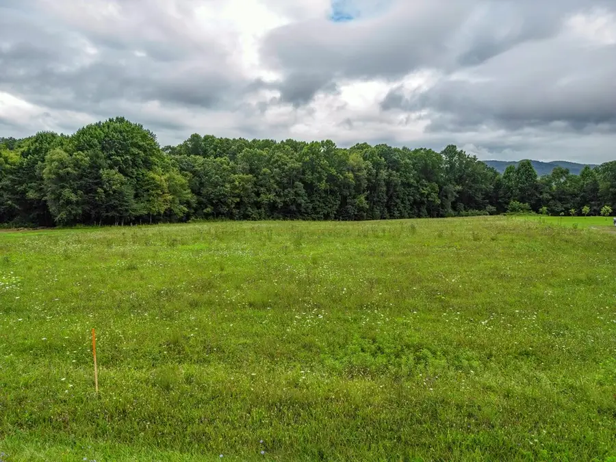4.15 ac Highway 133, Shady Valley, TN 37688 - Image #3
