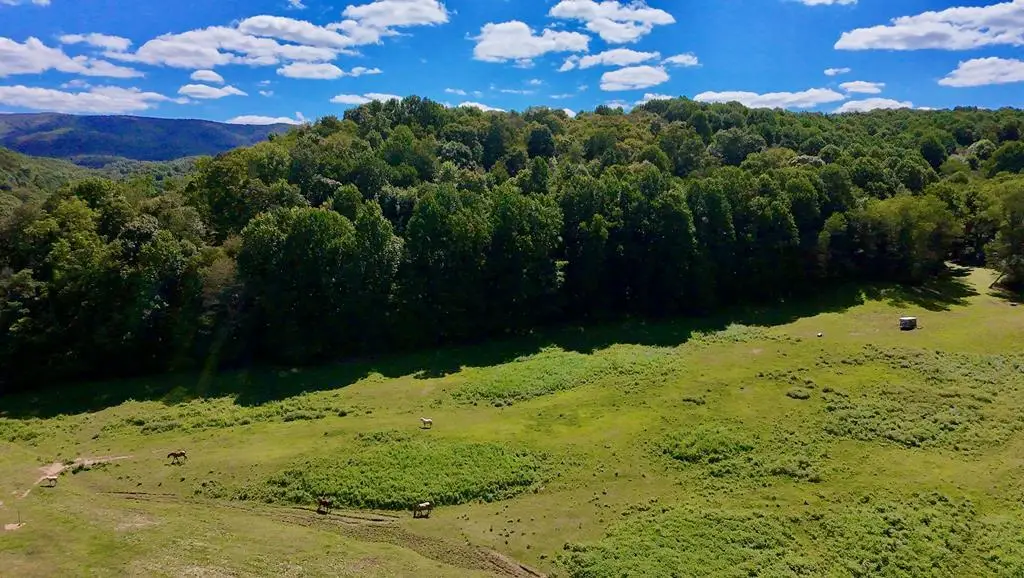 TBD Conover Ln., Atkins, VA 24311 - Image #1