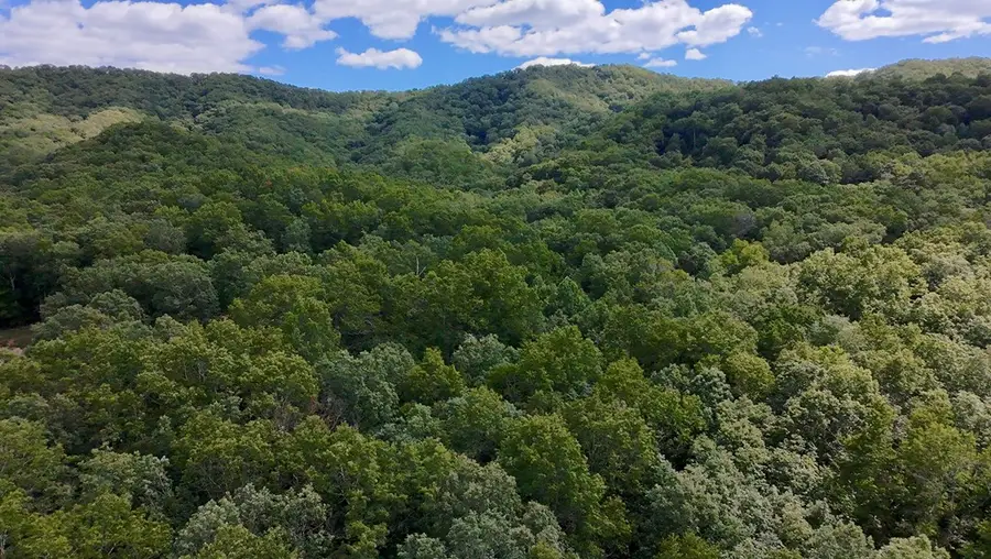 TBD Crawfish Rd, Atkins, VA 24311 - Image #3