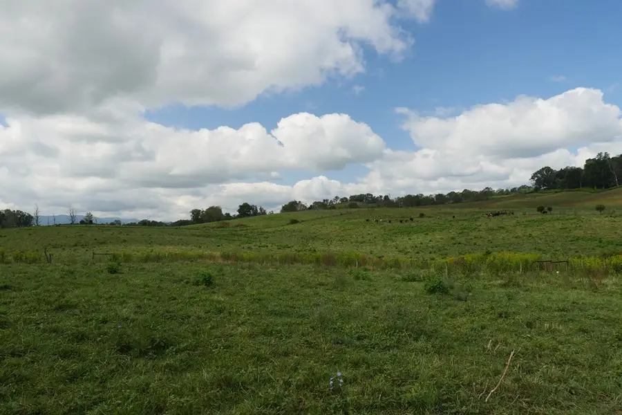 TBD South Fork River Road, Glade Spring, VA 24340 - Image #3