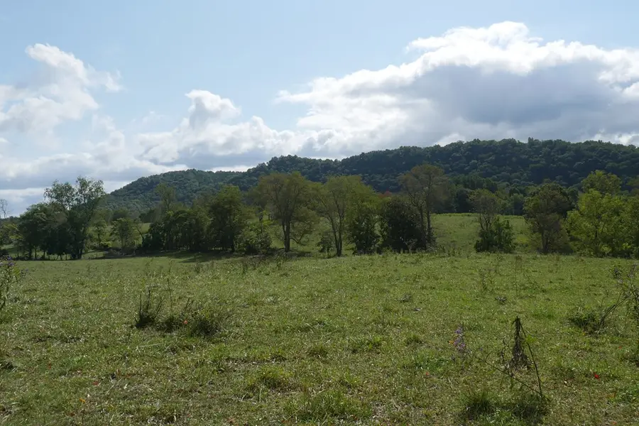 TBD South Fork River Road, Glade Spring, VA 24340 - Image #2