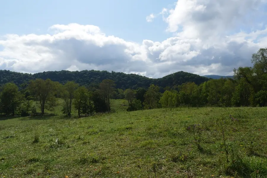 TBD South Fork River Road, Glade Spring, VA 24340 - Image #3