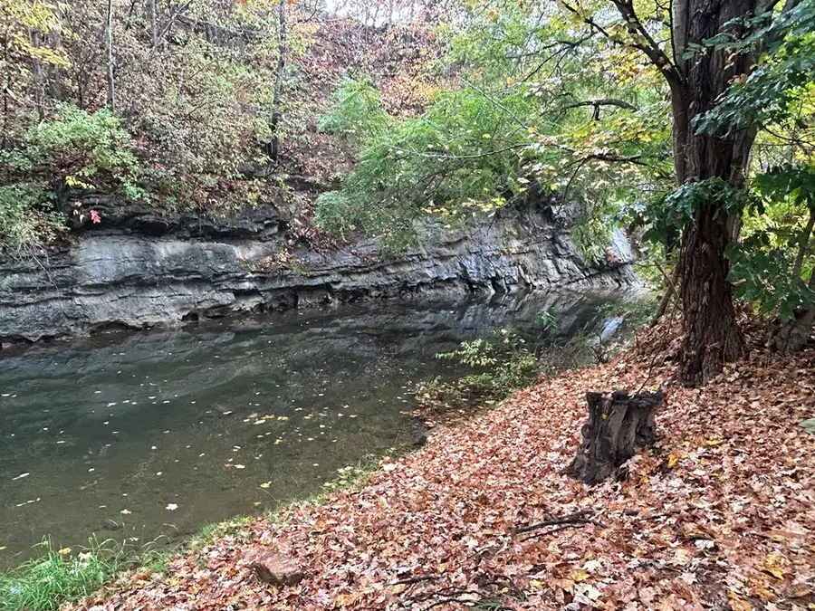 83 Sparrow Lane, Rocky Gap, VA 24366 - Image #3