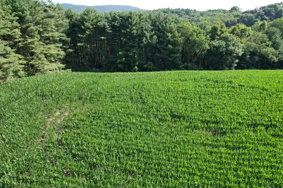 1 Comers Rock Rd, Elk Creek, VA 24326 - Image #3