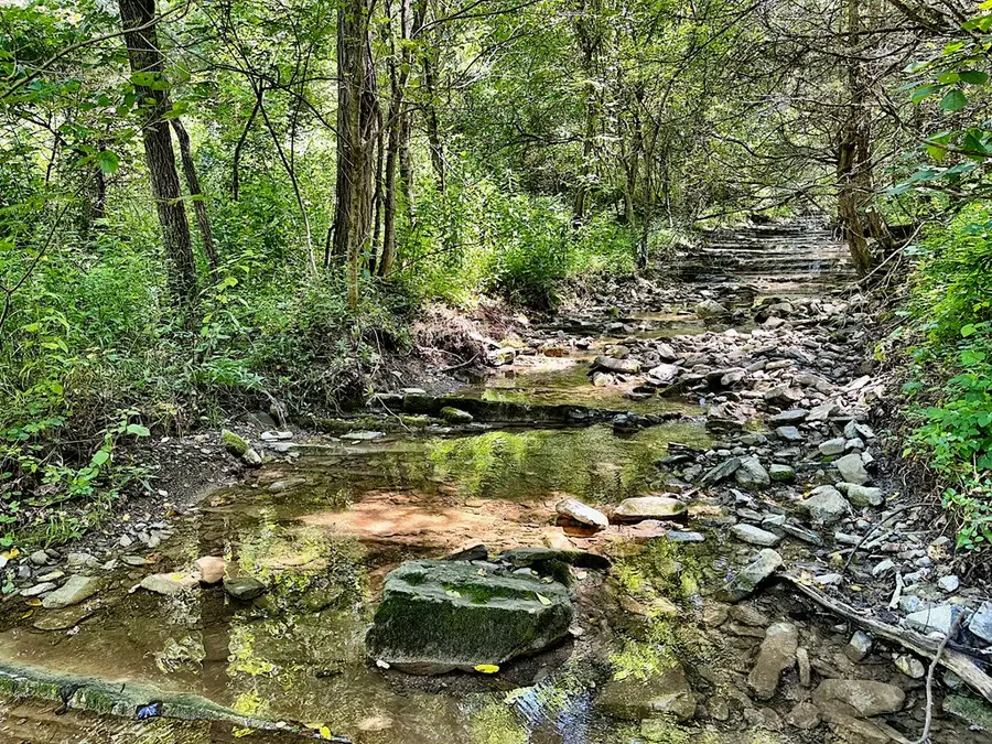 TBD Hogan Hollow Rd, Amsterdam, VA 24145 - Image #3