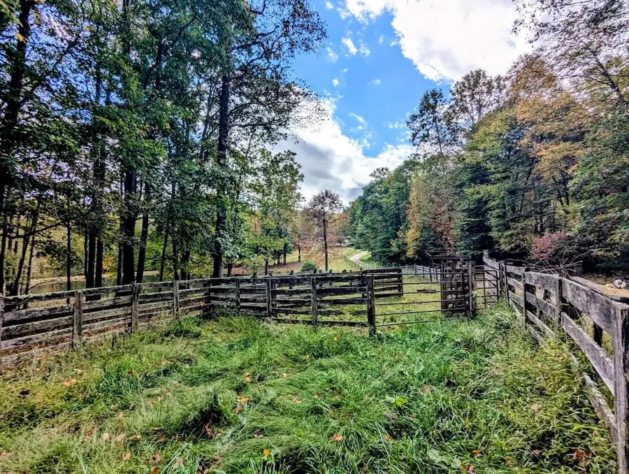 173 Hubbard Rd, Willis, VA 24380 - Image #3