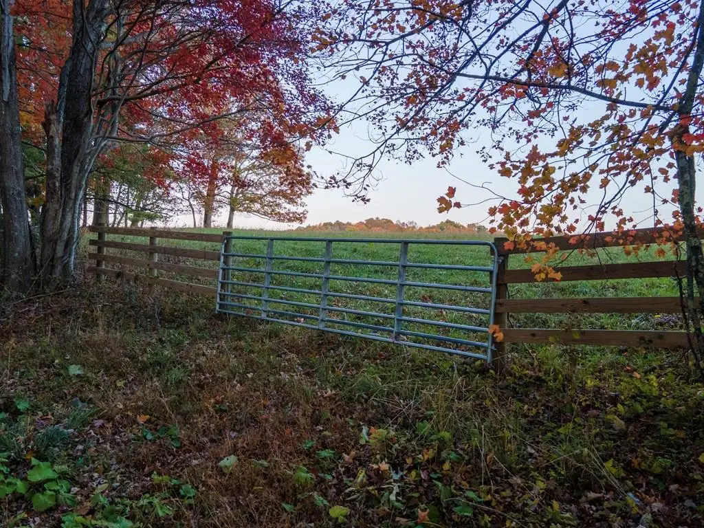 TBD Shady Grove Rd, Indian Valley, VA 24380 - Image #1
