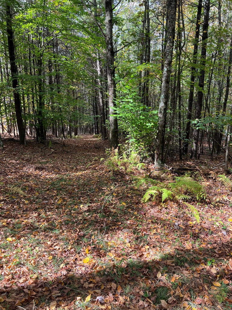 TBD Snow Ridge Lane, Fancy Gap, VA 24328 - Image #3