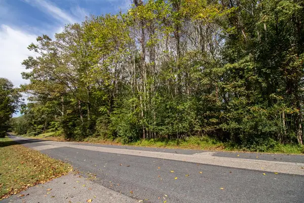 TBD Golf Course Rd, Spencer, VA 24165