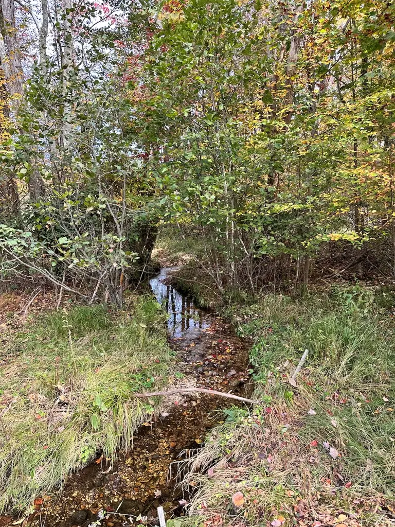 00 TBD Belcher Mountain Road, Meadows Of Dan, VA 24120 - Image #2