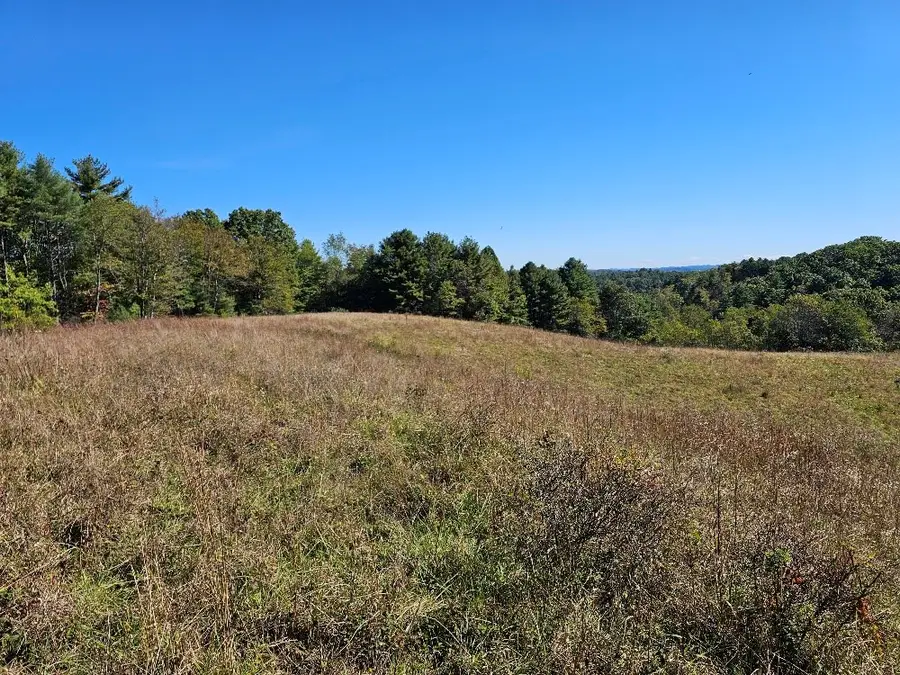 TBD Homestead Rd, Hillsville, VA 24343 - Image #2