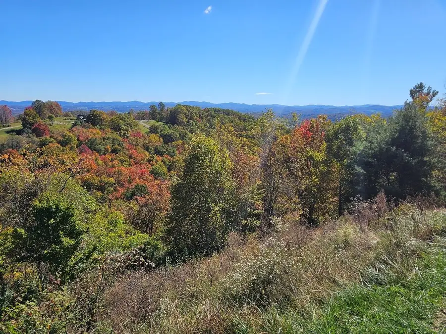 Lot#9 Mayito Ln, Mouth Of Wilson, VA 24363 - Image #3