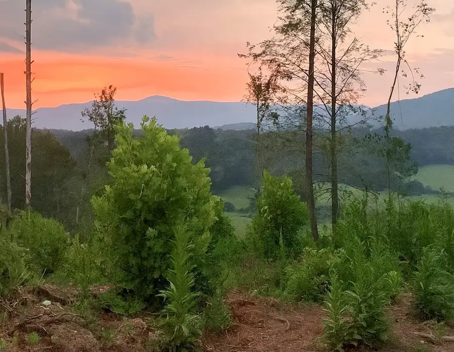 Tbd Jeb Stuart Hwy & Massey Rd, Stuart, VA 24171 - Image #2