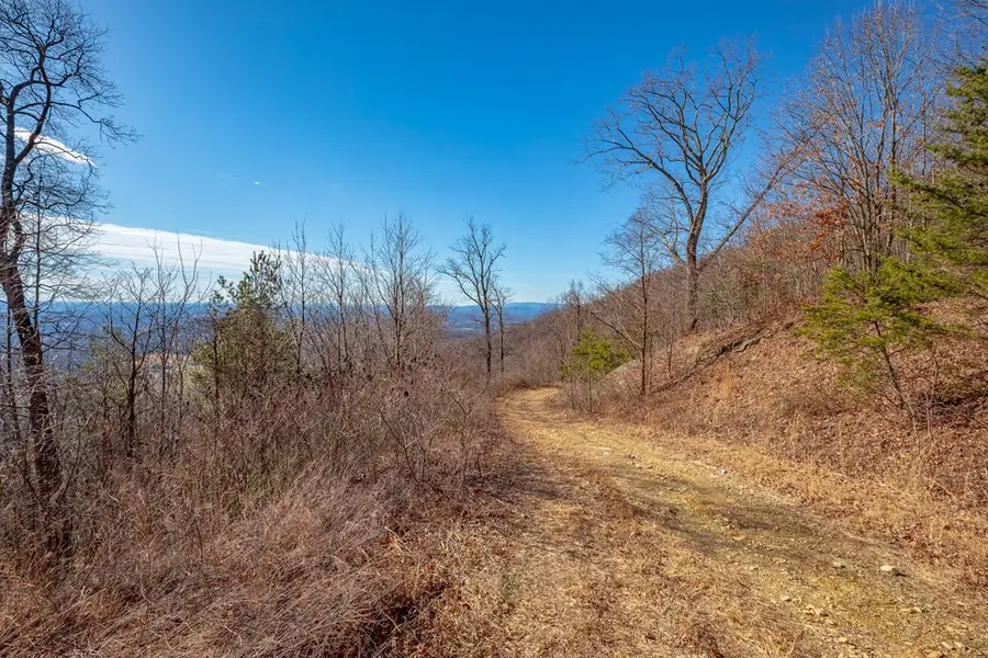 21 Lots Spring Pond Trl, Fancy Gap, VA 24328 - Image #3