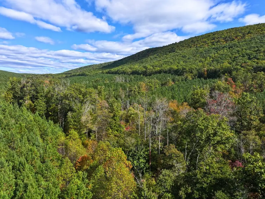 TBD Old Fire Tower Ln, Penhook, VA 24137 - Image #2