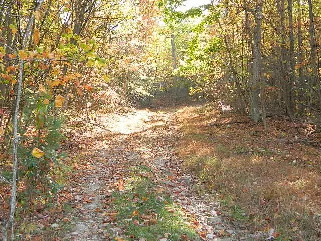 TBD Granite Lane, Chilhowie, VA 24319 - Image #2