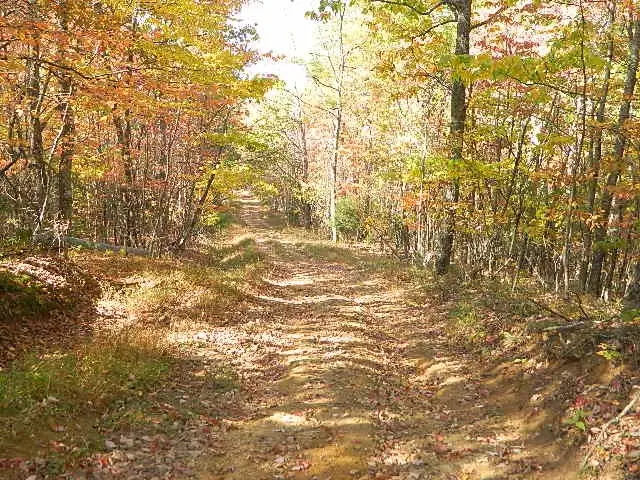 TBD Granite Lane, Chilhowie, VA 24319 - Image #3