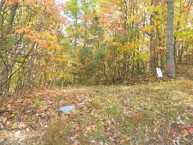 TBD Granite Lane, Chilhowie, VA 24319 - #2