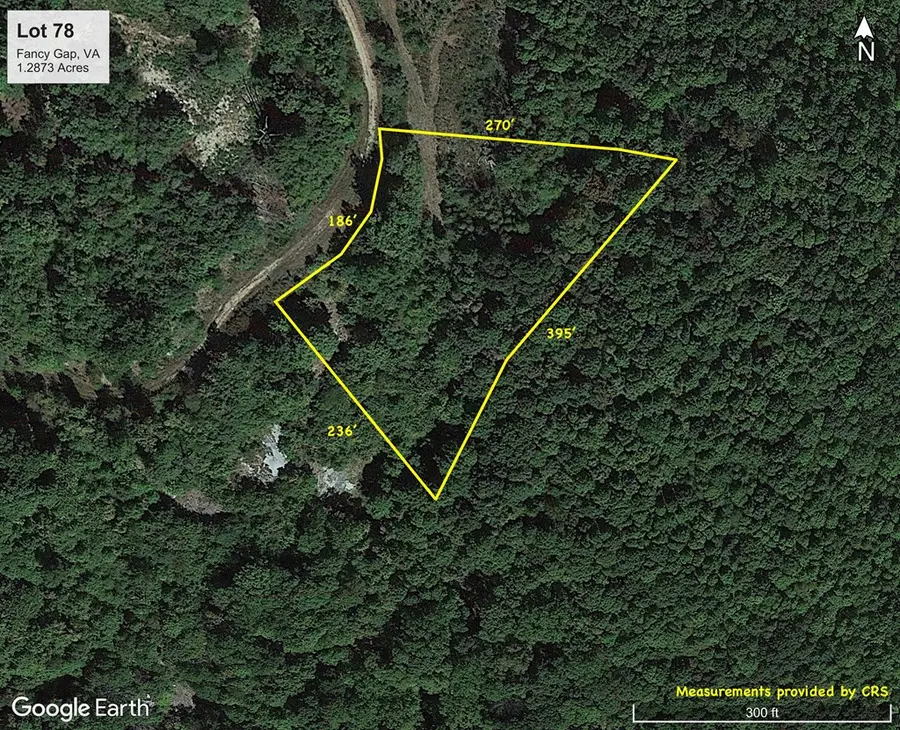 Lot 78 Spring Pond Trl, Fancy Gap, VA 24328 - Image #3