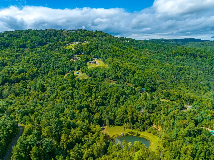 255 Covered Bridge Trl, Fancy Gap, VA 24328 - Image #3