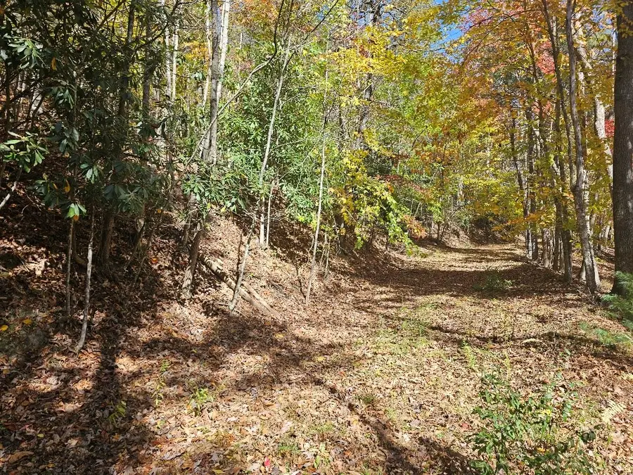 39E-2-17 Carsonville Rd, Independence, VA 24348 - Image #3