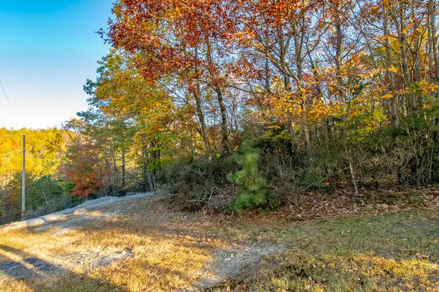 Lot 41 Moonlight Ln, Fancy Gap, VA 24328 - Image #2