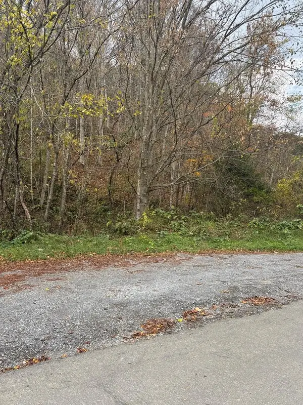 TBD HURT BUGGY ROAD, Cedar Bluff, VA 24609