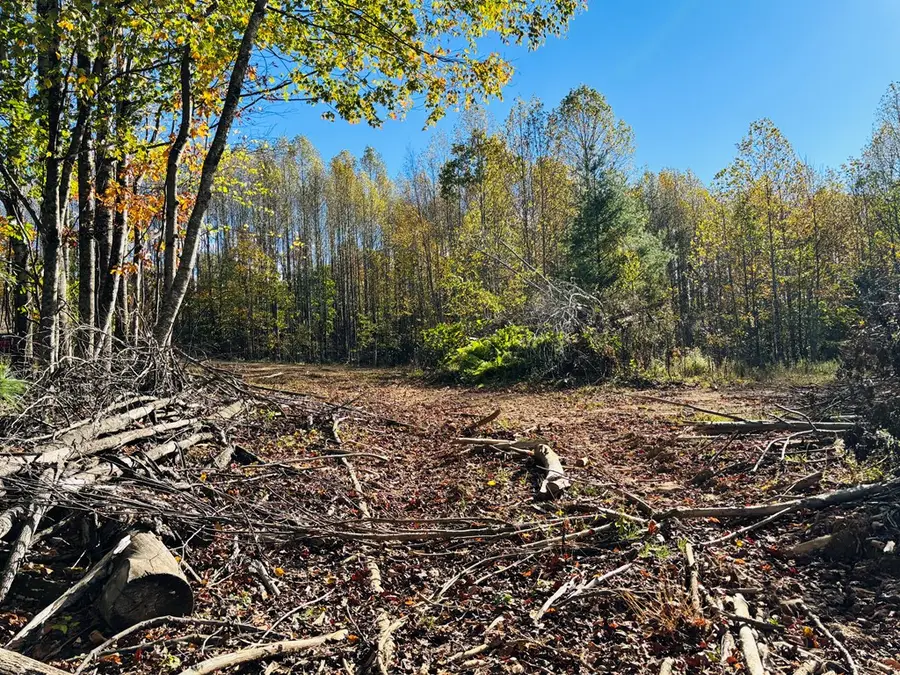 TBD Red Roof Lane, Laurel Fork, VA 24352 - Image #2
