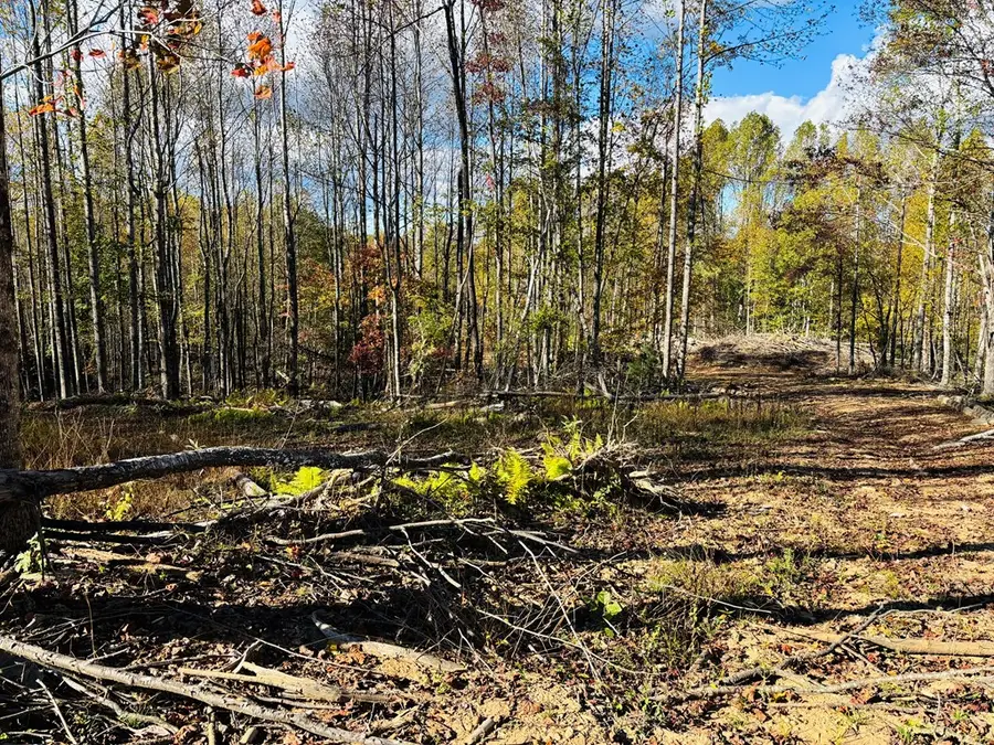 TBD Red Roof Lane, Laurel Fork, VA 24352 - Image #2