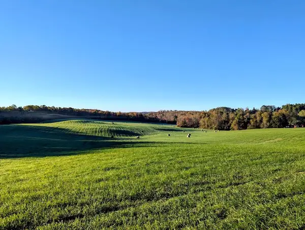 TBD Daniels Run Rd, Check, VA 24072