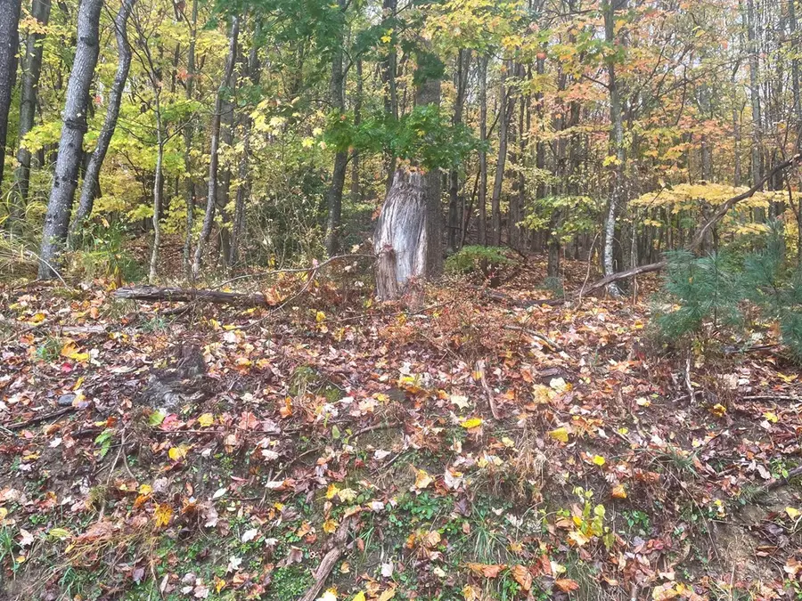 TBD TBD Hicks St, Bluefield, VA 24605 - Image #2