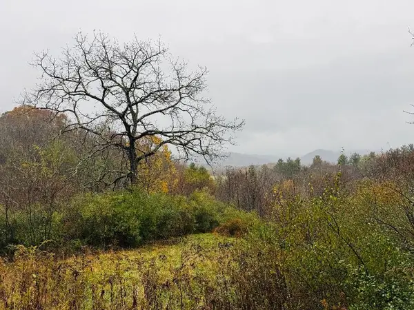 TBD Yonder Ln., Troutdale, VA 24326