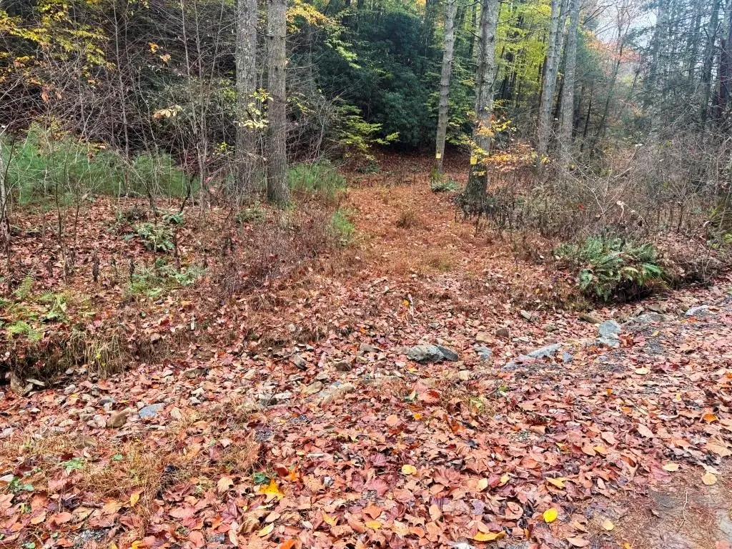 21B Collins Cove Rd, Ivanhoe, VA 24350 - Image #1