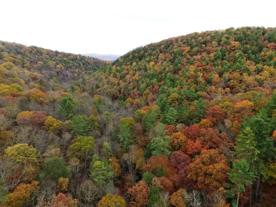 21B Collins Cove Rd, Ivanhoe, VA 24350 - Image #2